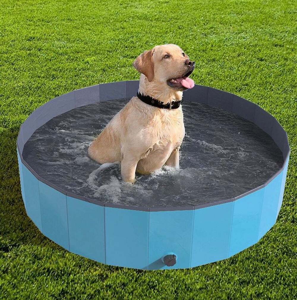 Collapsible Pet Dog Pool and Bathing Tub, Small, Blue